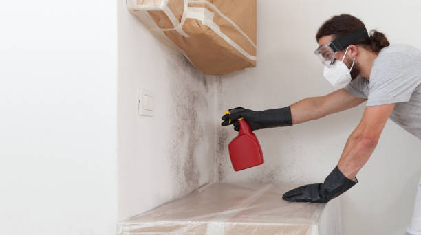 Professional Mold Testing technician working in Lexington, MI